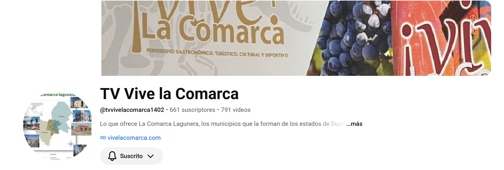 Cana lde Youtube de Vive la Comarca